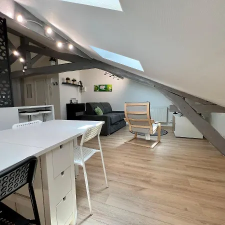 Le Mobile - Climatise - Proche De La Gare - Centre Ville-property Nm 公寓 佩里格