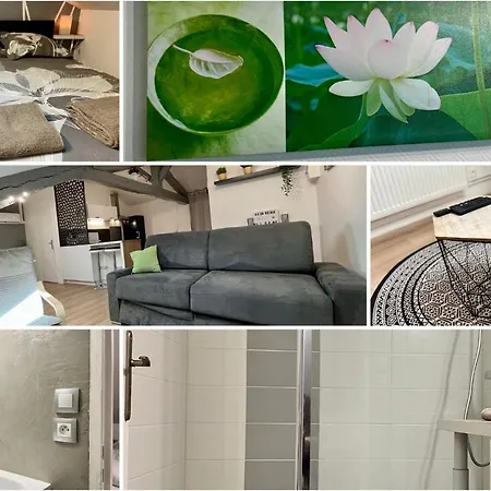 Апартаменты Le Mobile - Climatise - Proche De La Gare - Centre Ville-property Nm