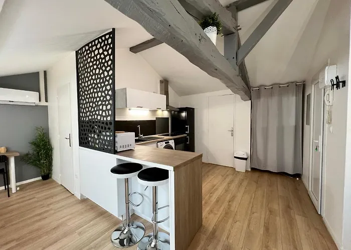 Le Mobile - Climatise - Proche De La Gare - Centre Ville-property Nm Lejlighed Périgueux